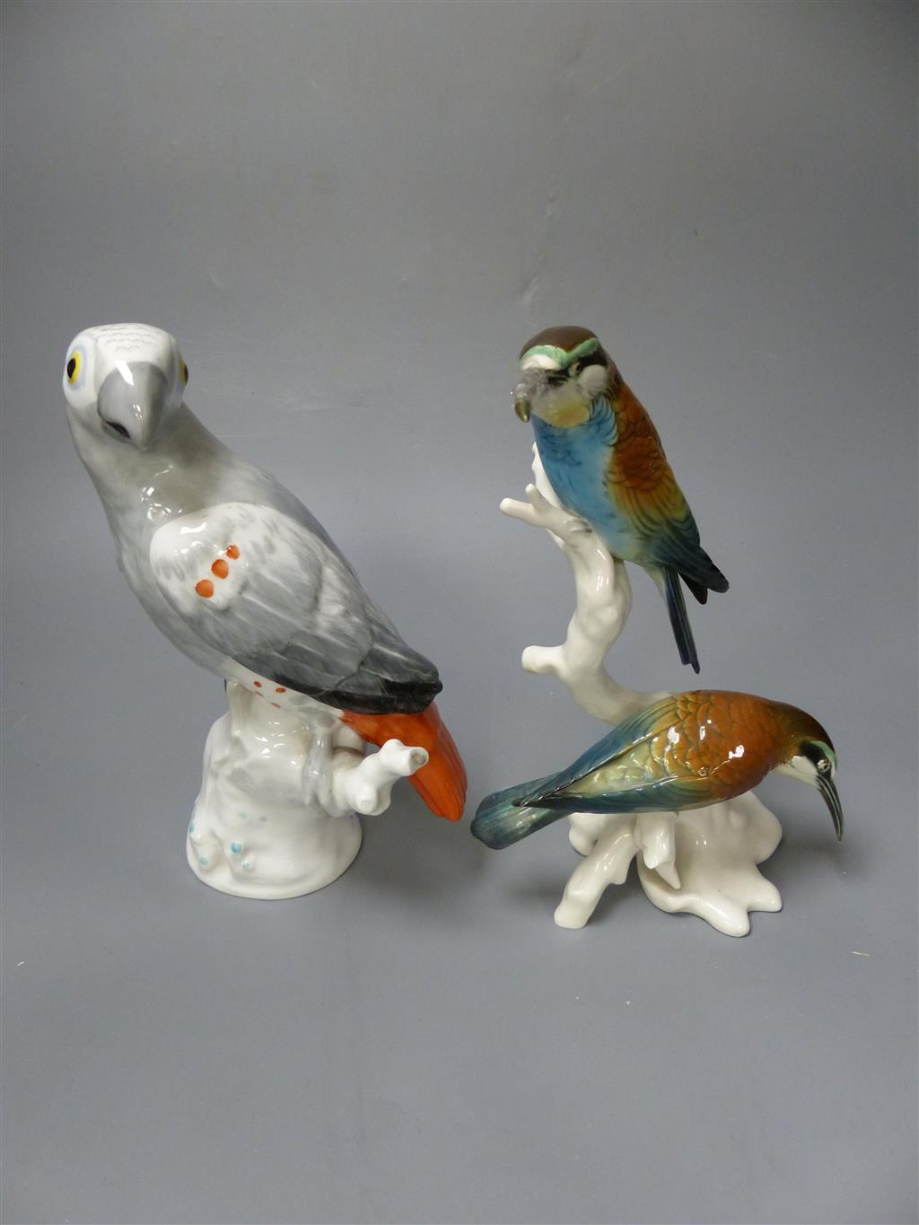 A KPM style porcelain parrot and an ENS bee eater group, tallest 22cm